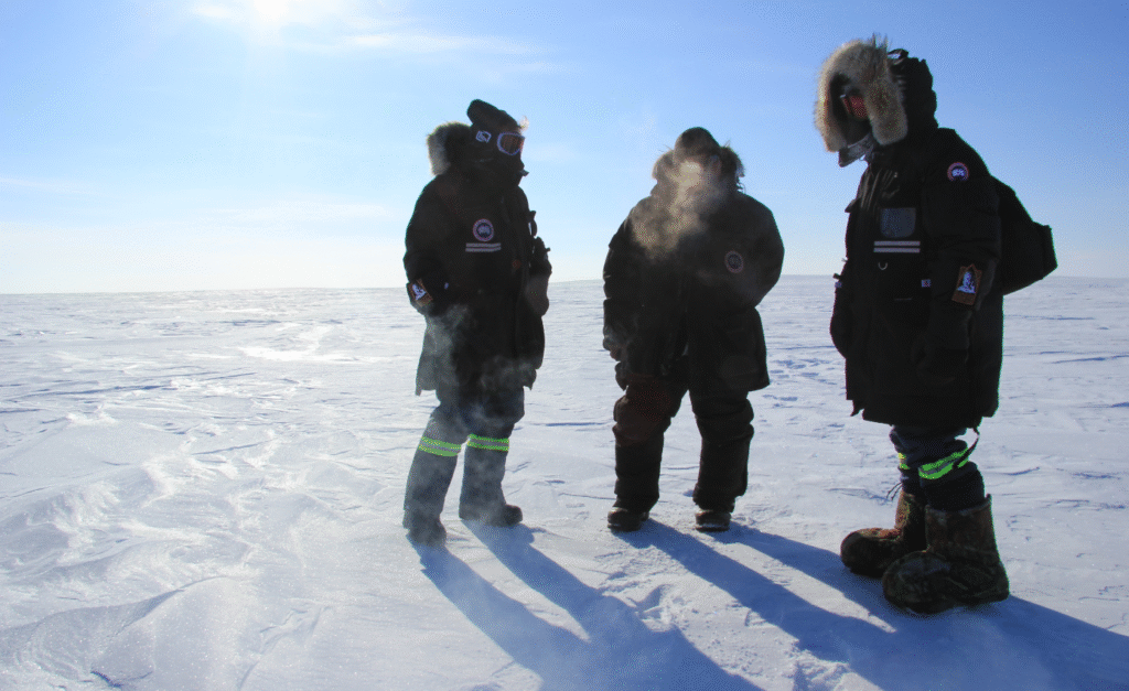 Inside the Arctic