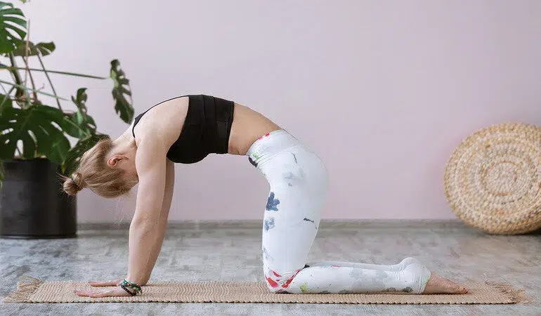 Kedi – İnek Pozu