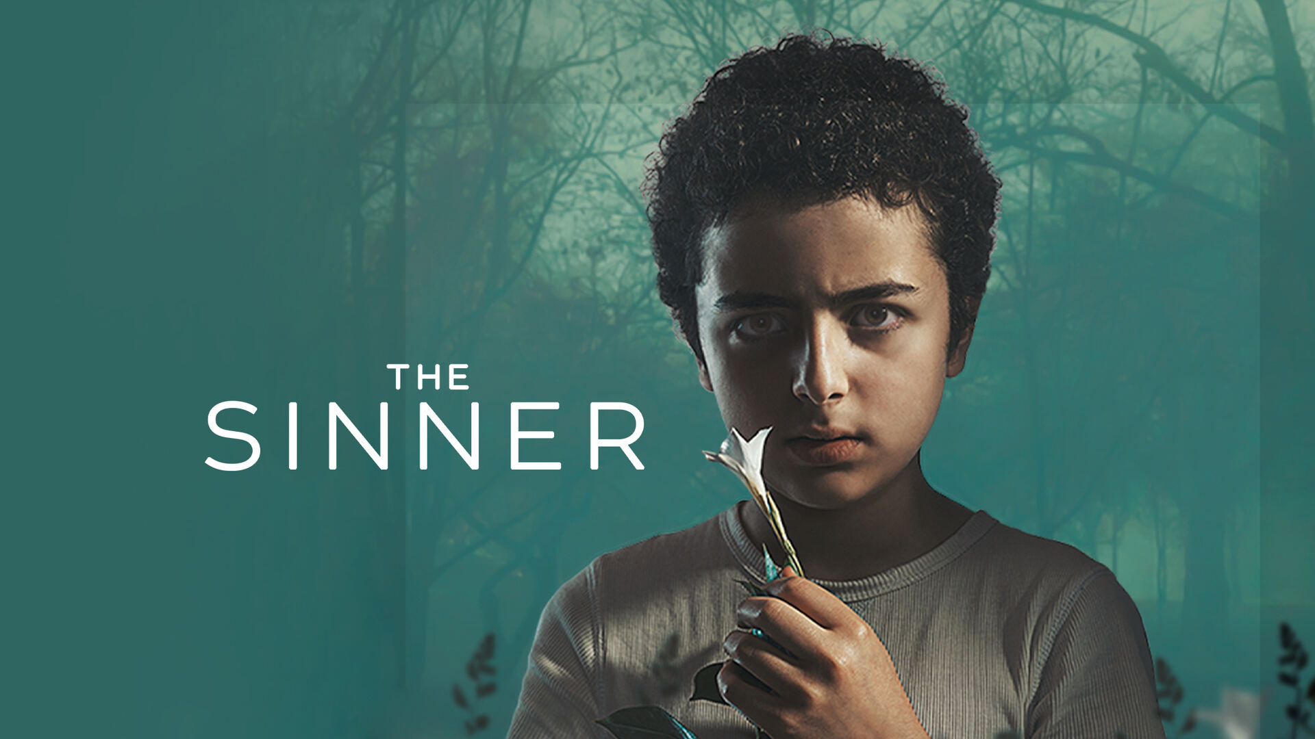 The Sinner